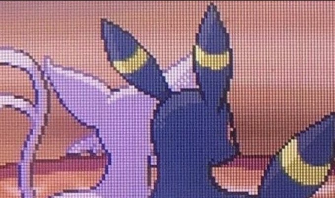 pokemon_twts's tweet image. they're cute together