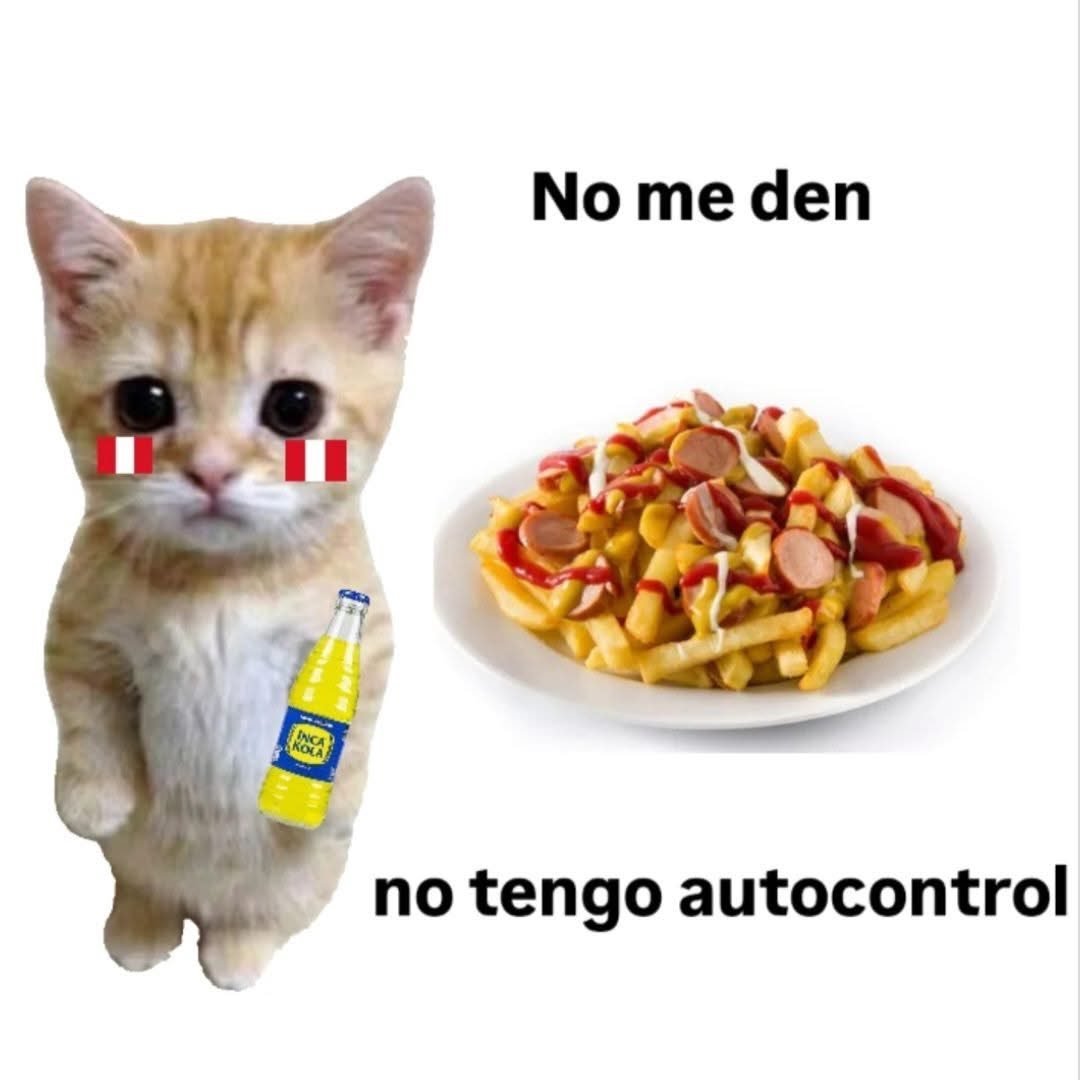 contrathuc's tweet photo. #thuclore #salchipapa encontré este gato para los thucfans #inkakola #vallenato #meme #palmardetroya https://t.co/zqapyVI8TF