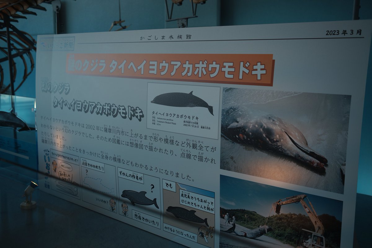 つかっちゃ (@Tsukaccha) / Posts / X