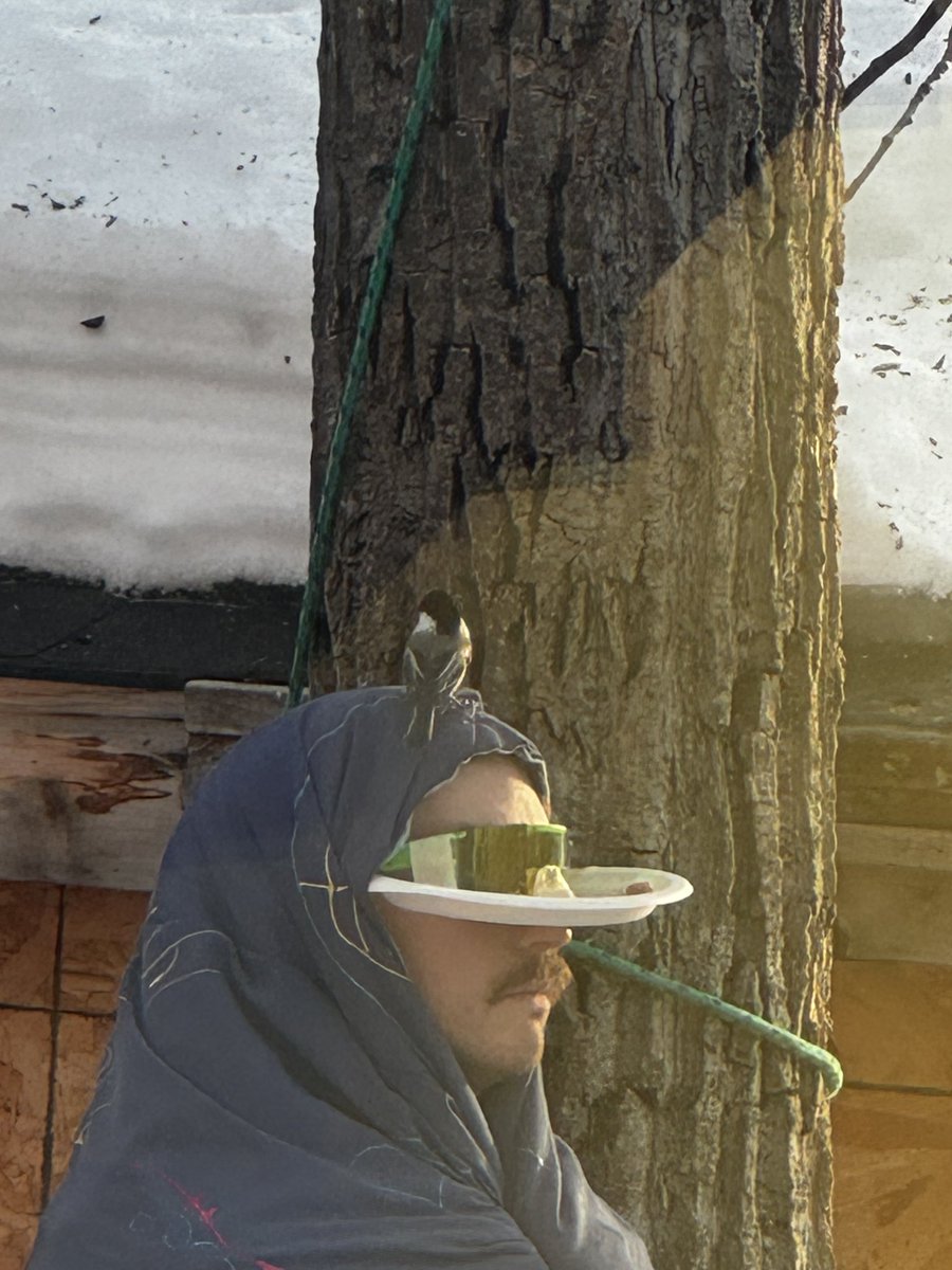 Josten Crouch tweet media