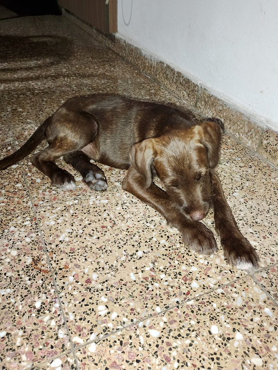 Dos meses de diferencia y mucho amor de por medio 🥰