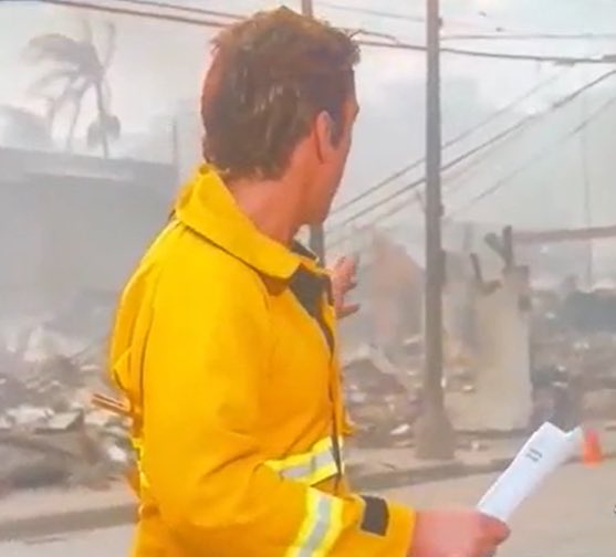 AlmostFLNative's tweet image. All I ever see when I hear about David Muir