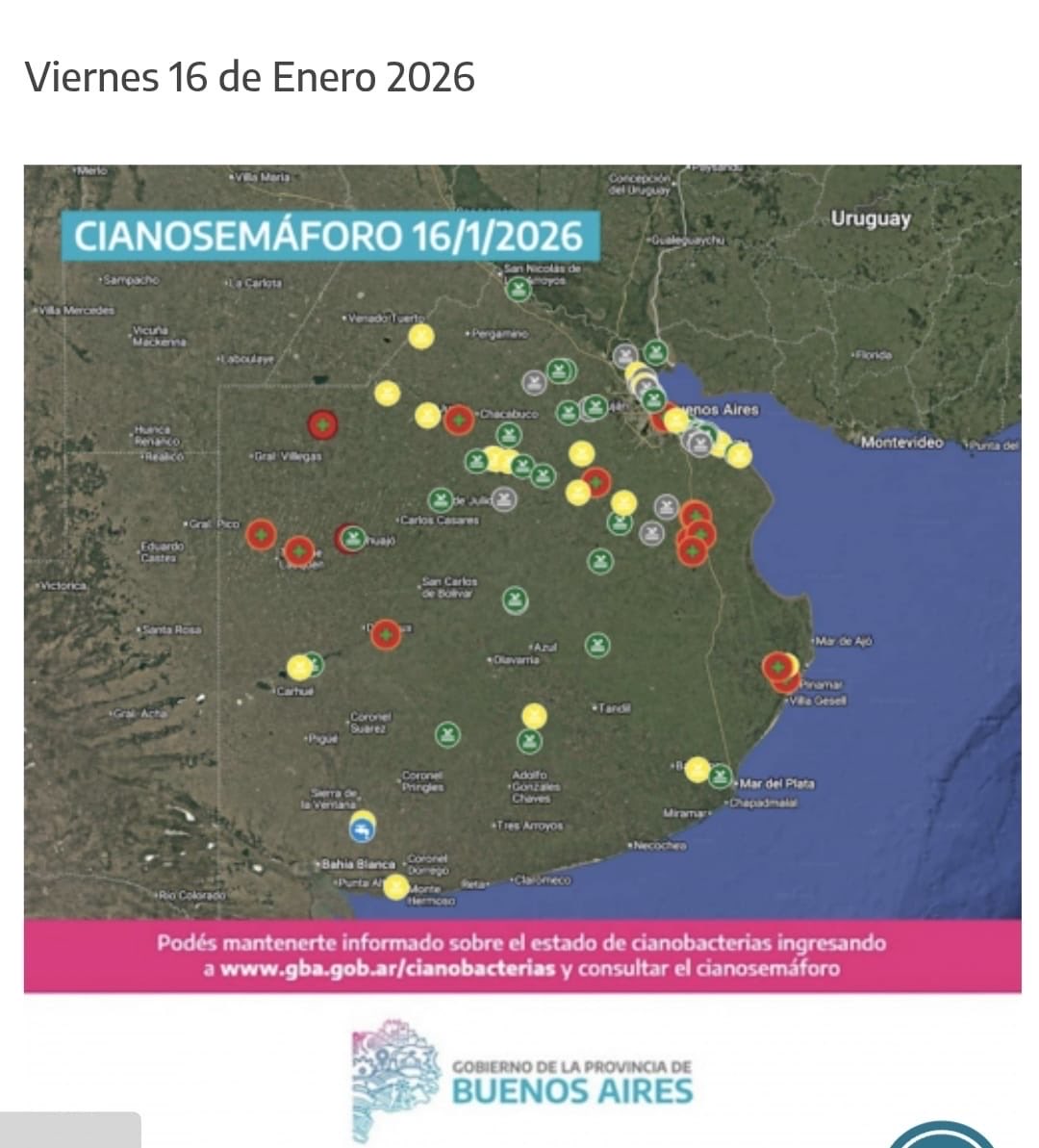 MuniChivilcoy's tweet image. 🟢🌿 Cianobacterias: Chivilcoy con bandera verde 🌿🟢

Según la última actualización del Cianosemáforo del Gobierno de la Provincia de Buenos Aires, Chivilcoy presenta bandera verde en los dos puntos monitoreados:
📍 Parque Lacunario Martija
📍 Ramón Biaus

Esto indica riesgo