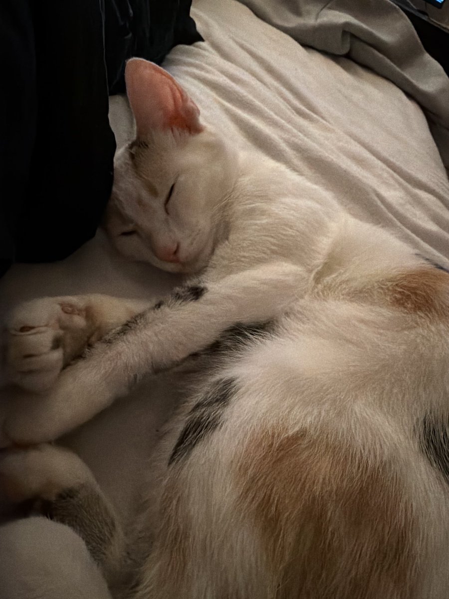 adottjohn's tweet image. literally can’t stop thinking about my child🥹😍