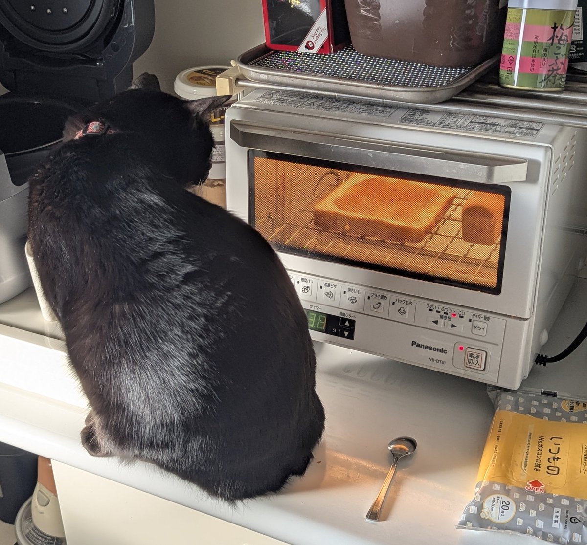 トースターで暖をとらない！🤨