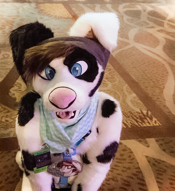 Dally Doggo tweet media