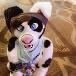 Photo by Dally Doggo (@DallyDoggo)