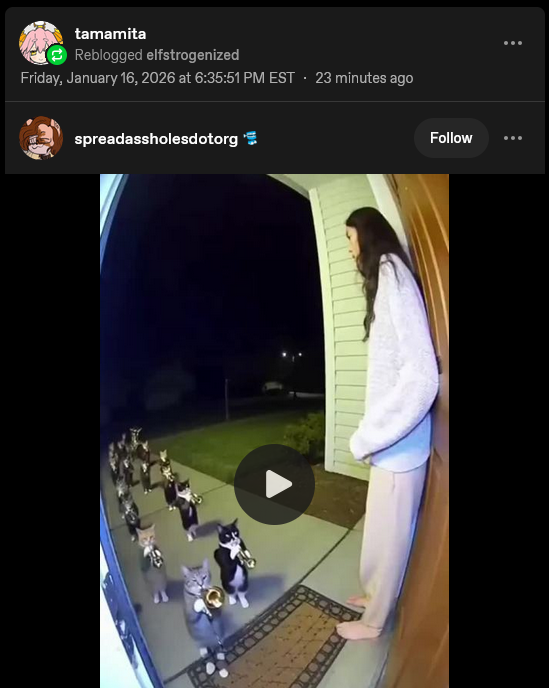 Ghostly tweet media