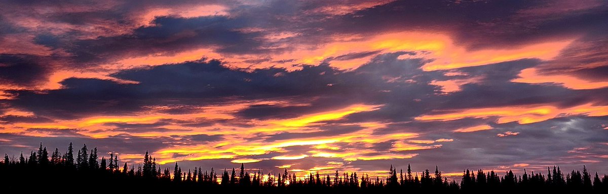 Caddy (@dave37530840210) on Twitter photo 