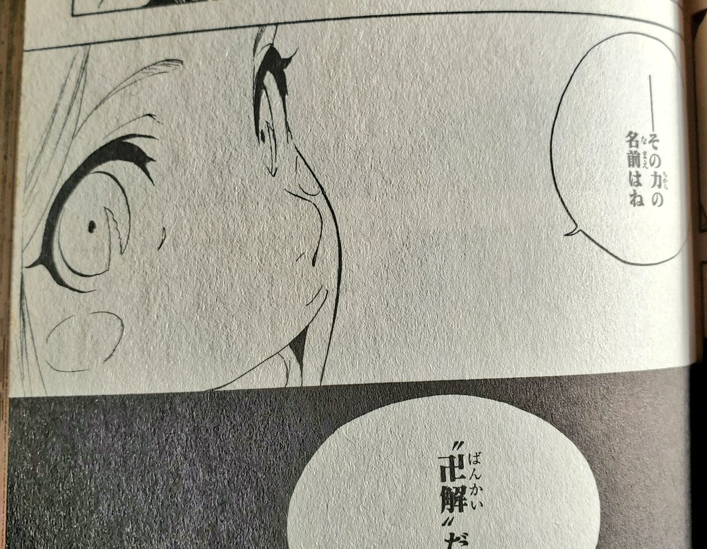 やちるの目のハイライトが剣八と初めて会った時の斬魂刀の形なの熱いよな 