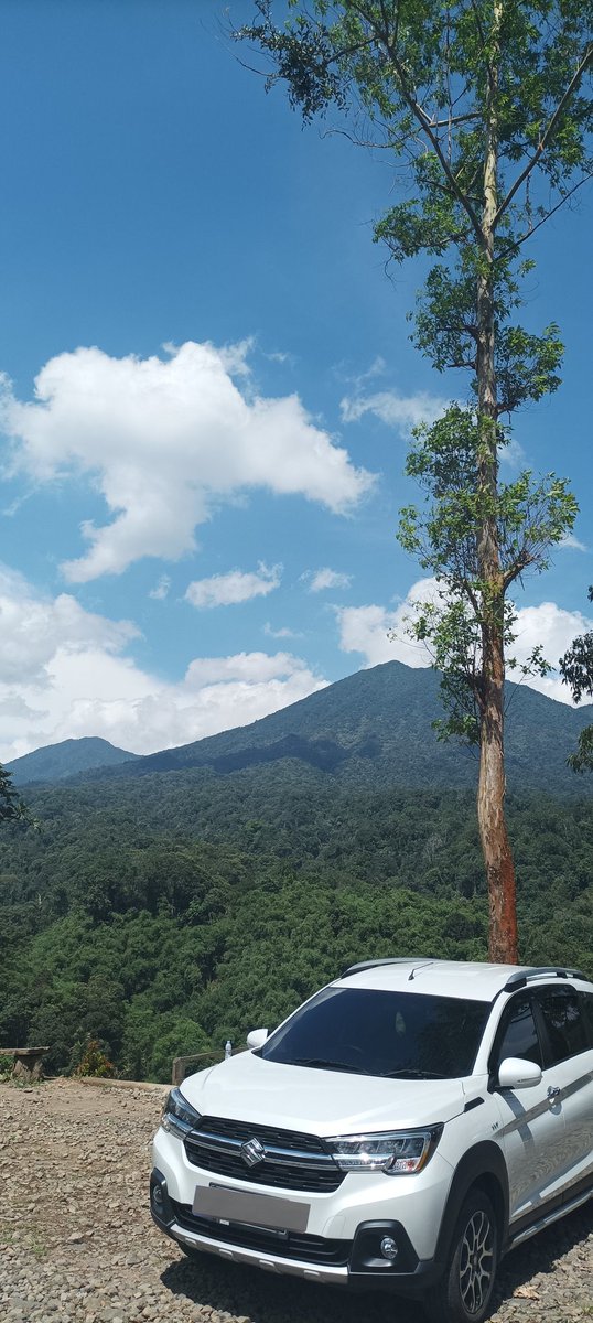 wagonrid's tweet image. Sesuai habitat....