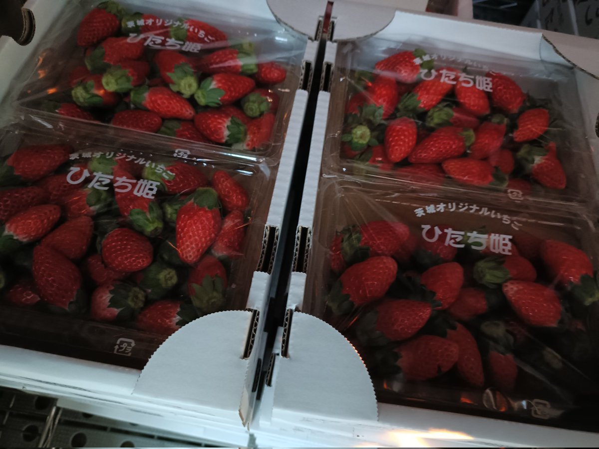 いちご１６ 静岡県発いちご新品種「静岡16号」名前を募集中｜JAcom 農業協同組合新聞