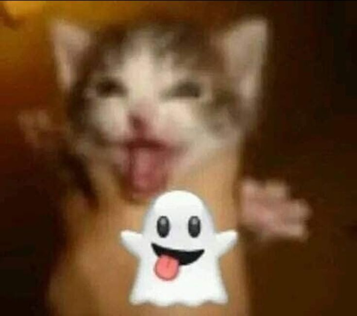 Micaracuando05's tweet photo. @Ez3qu1el3040 Bardock es planisimo y solo los fans les gusta por tener una pelea con amv de linkin park de fondo, esa furra que, la hija del inutil de shanks solo sirve para tener ost sobrevalorados, Penny no quiero mencionar porque es querida, y Rengoku fue doneado como perdedor y toji es mrd https://t.co/eHMD0quu0k