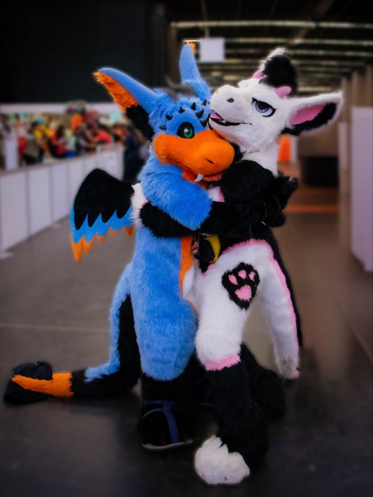 Sylderg's tweet image. It's #FursuitFriday and #DragonAppreciationDay so here is a furred dragon and a dutch angel dragon for your enjoyment 🐉✨🐉