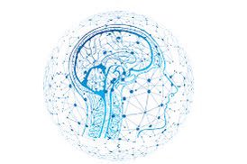 Informamos que el próximo lunes se abrirán las horas para #neurologo del mes de febrero.

#añoescolar2026  #NEE #PIE 

Reserva tu hora web en #agendaTuHora en 
inmunomedica.cl

#clinicainmunomedicachillan 
#Chillán #Ñuble 

FONO. 422834246. 
Dr Lopez  Neurólogo
