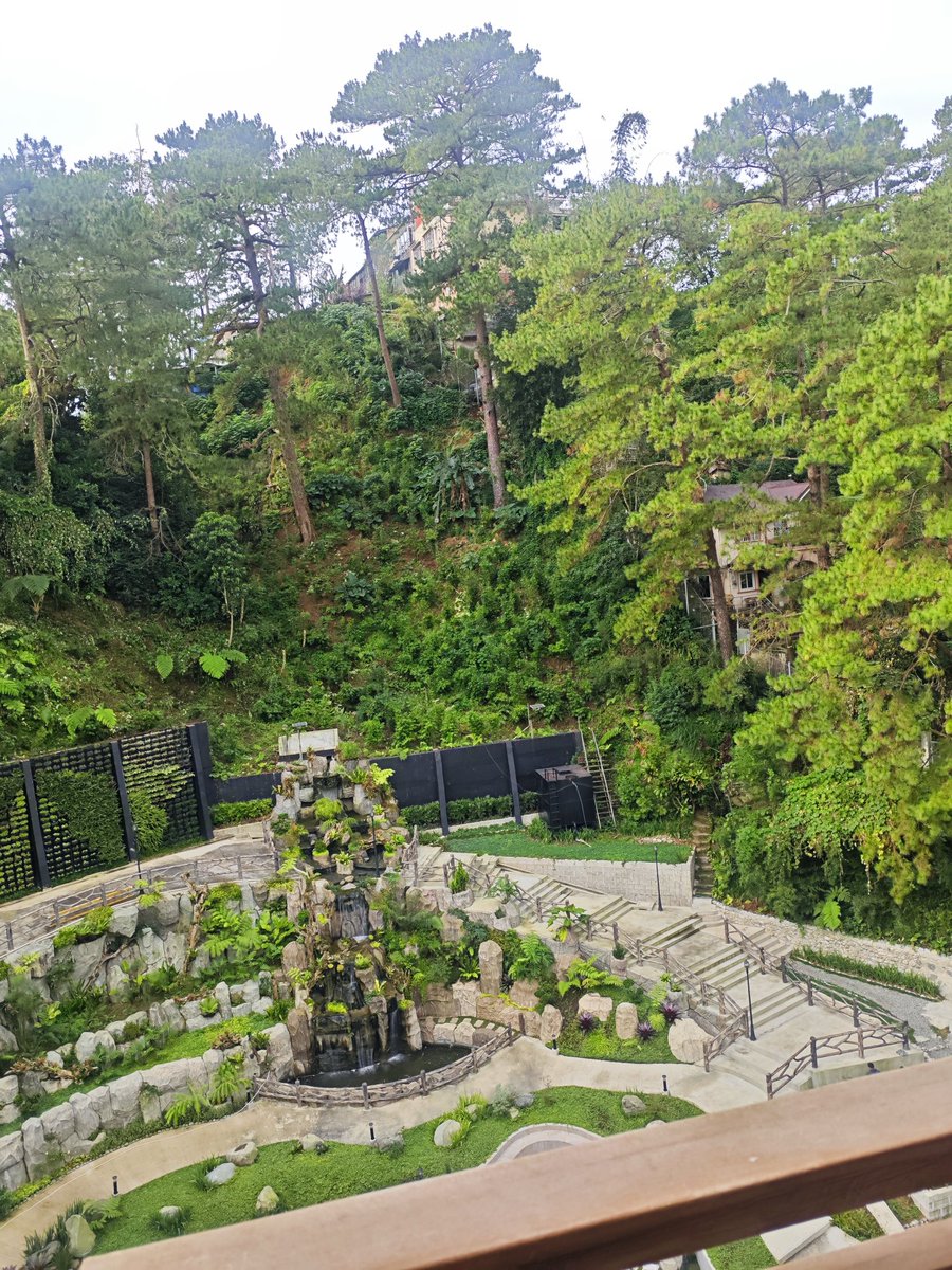 XiiMarc0's tweet photo. Good morning, Baguio! https://t.co/9Y0MRkH89U