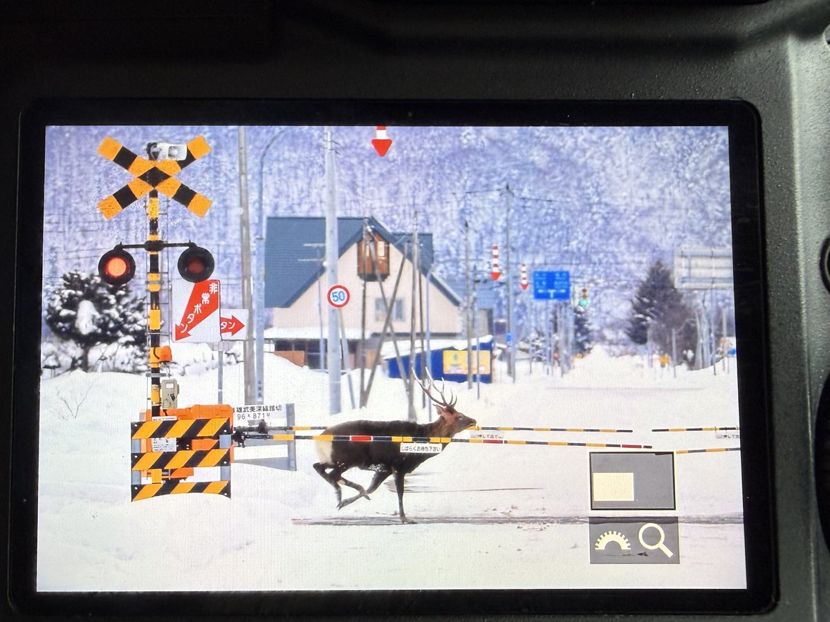 higasino5's tweet image. なんか、踏切鳴動してたけど列車じゃないのが通過して行ったわ