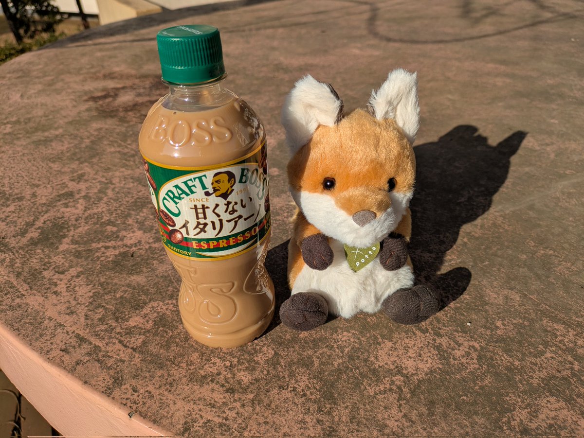 にゃー吉 (@nya_kichi_1215) / Posts / X