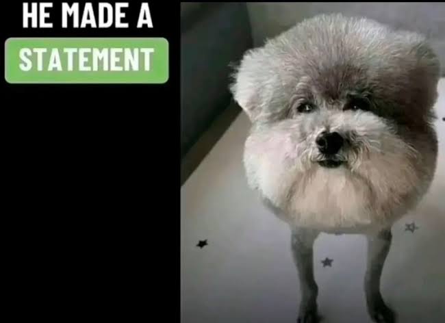 三一六五 tweet media