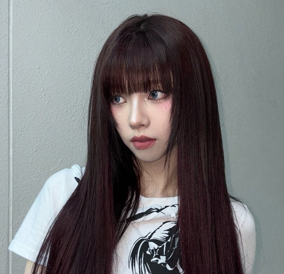 얘들아 풀뱅카리나 처하자