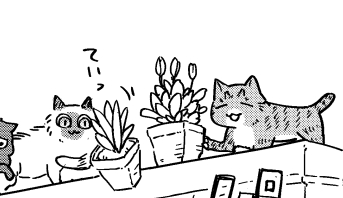 5話目後編が公開されました!
猫たちのオススメスポット勝負、トップに輝くのはどの猫だ!!!

このマンガがすごい!comics 猫と竜 ミケミケのねこねこギルド 【単話版】|コミックシーモア作品情報 https://t.co/XcwwcnXPEp @comic_cmoaより 