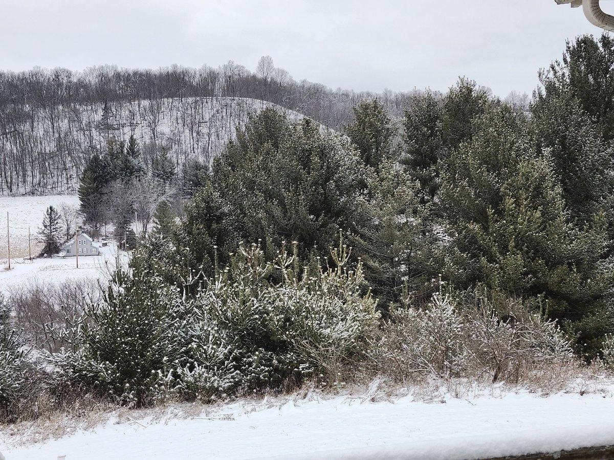 aresonian's tweet image. Dawn of a winter wonderland 

#NaturePhotography 
#winterPhotography
#WinterWonderland