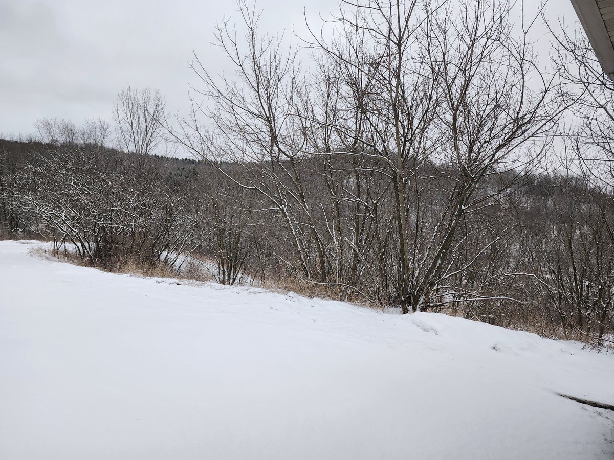 aresonian's tweet image. Dawn of a winter wonderland 

#NaturePhotography 
#winterPhotography
#WinterWonderland