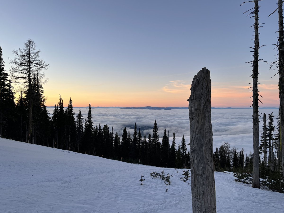 Don Pawluk tweet media