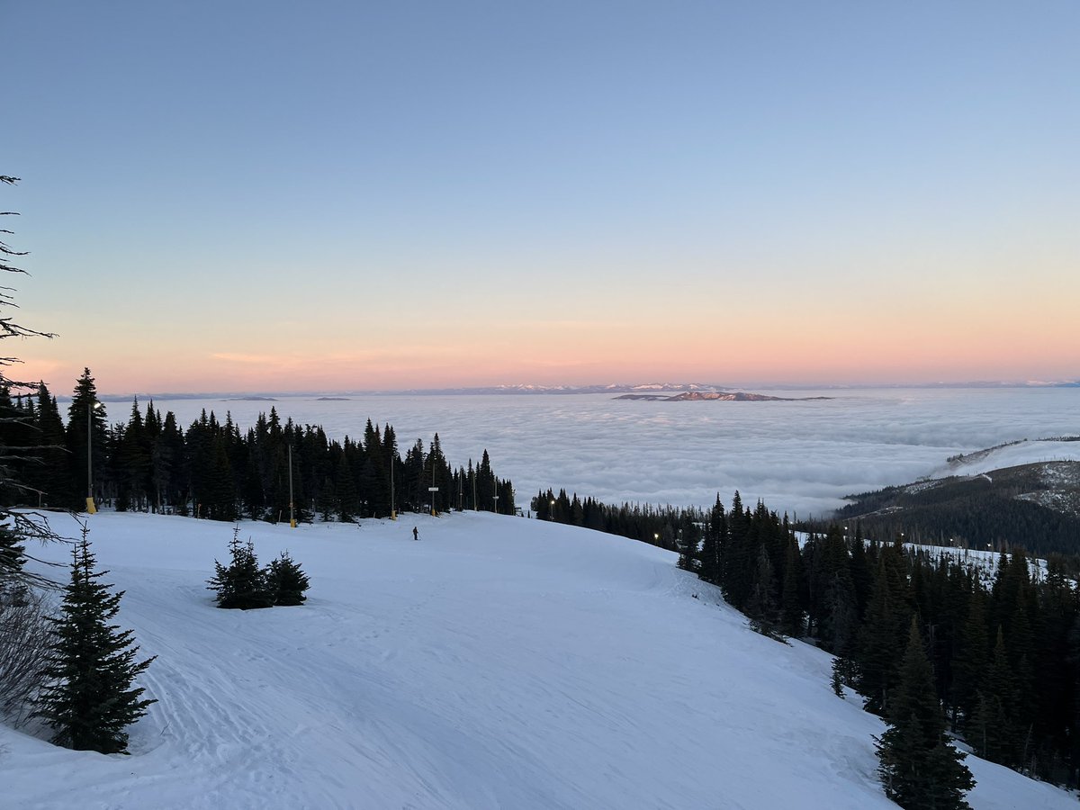 Don Pawluk tweet media