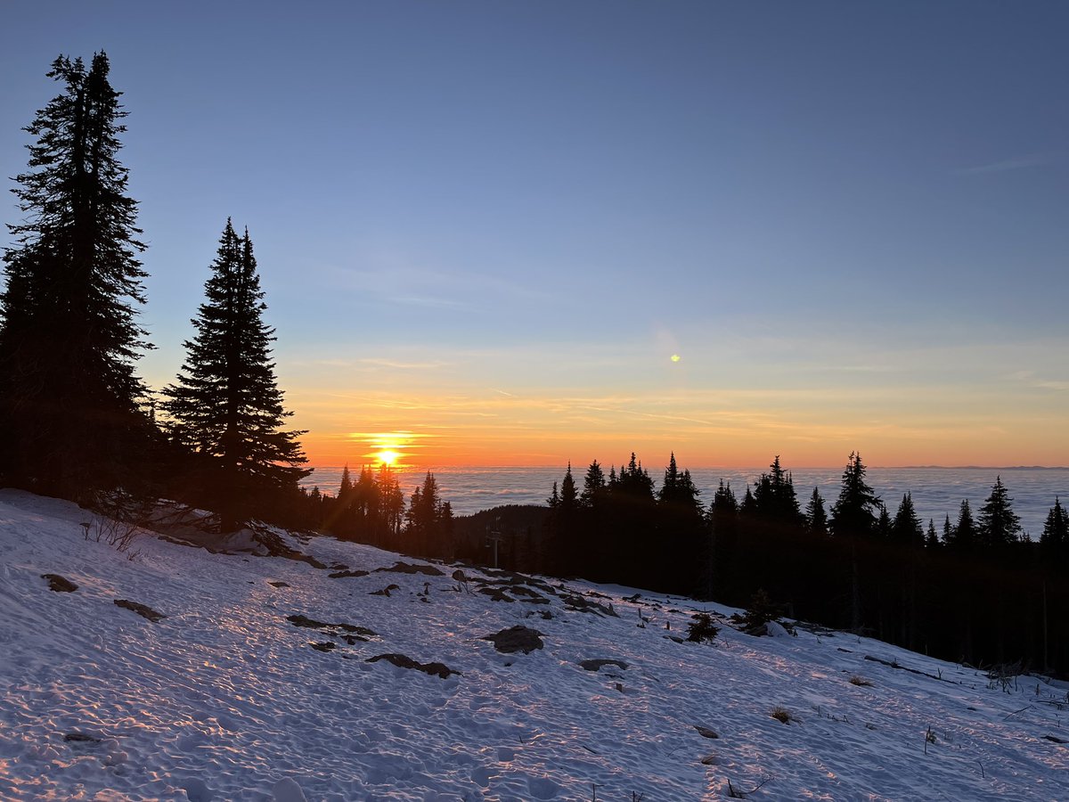 Don Pawluk tweet media