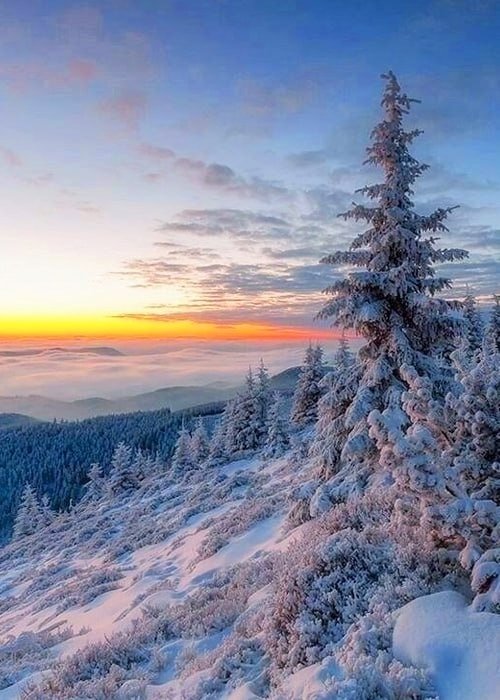 123 (@xetra_a) on Twitter photo 