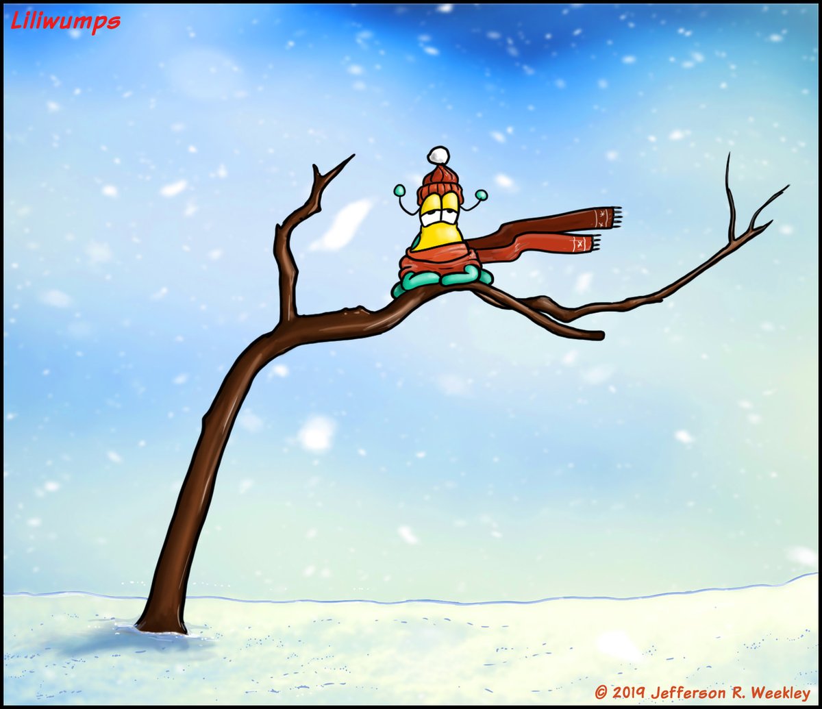 Jefferson R. Weekley (@nawalli777) on Twitter photo 