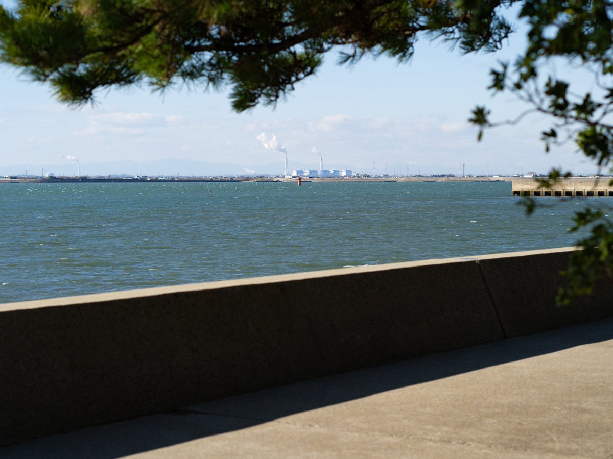 冬は海に。

PENTAX 645D
SMC Takumar 6x7 105mm F2.4
2026.01.12