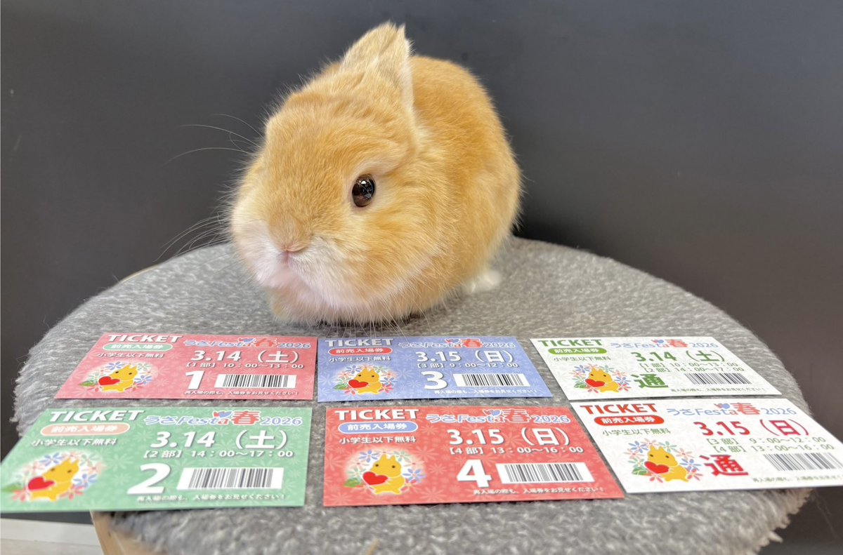 うさぎのしっぽ　うさぎのフード うさぎのしっぽ通販は、『ラビットフードストッカー4』を全国へお届け