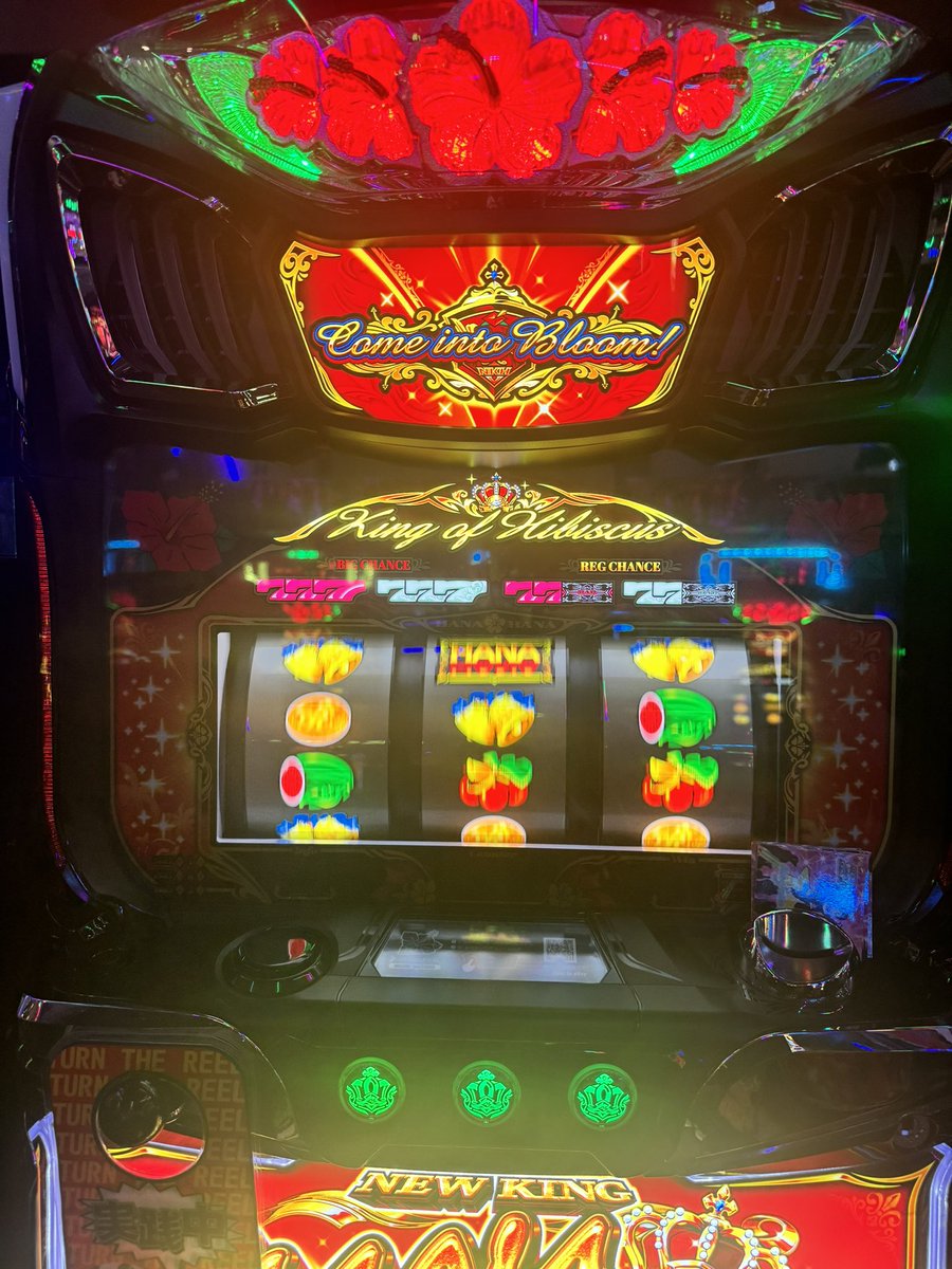 沖縄で打つニューキングはいかに。 光るたび沖縄の専業が見てくるで