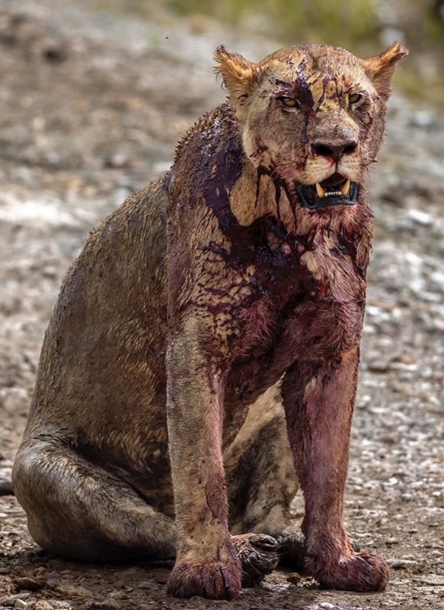 RT @jongy064: 나 포함 현재 비트코인 투자자들 근황