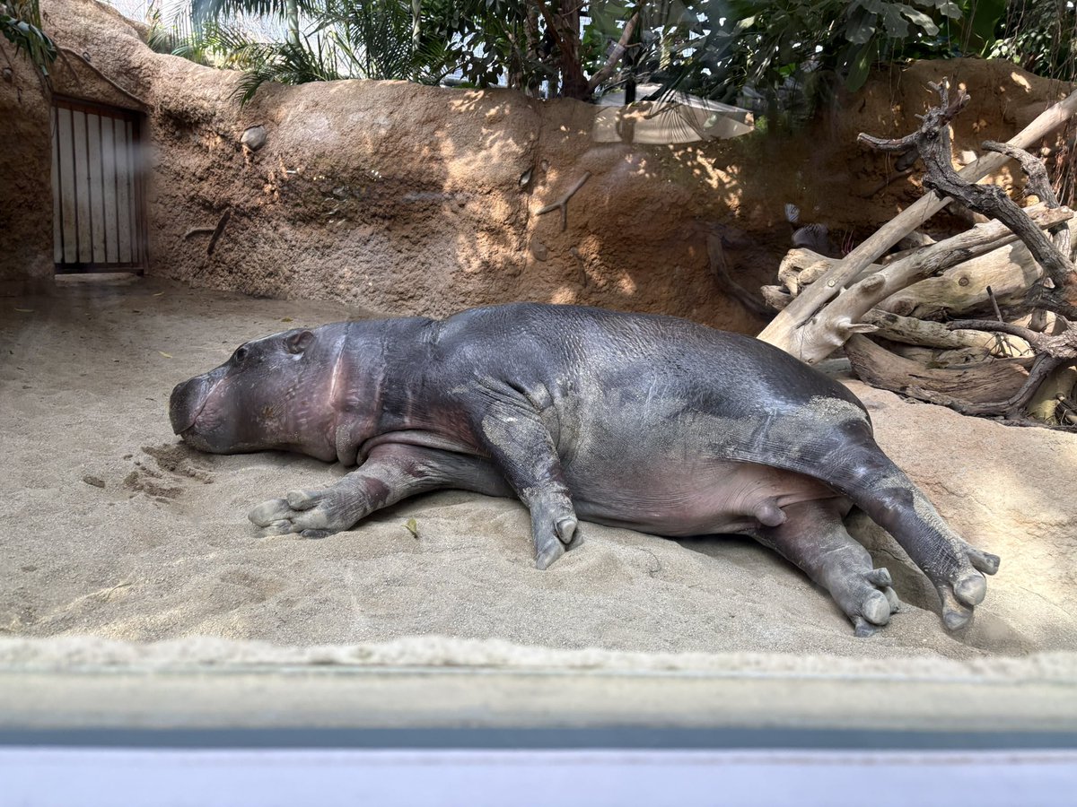 神戸動物王国は良いなぁ。