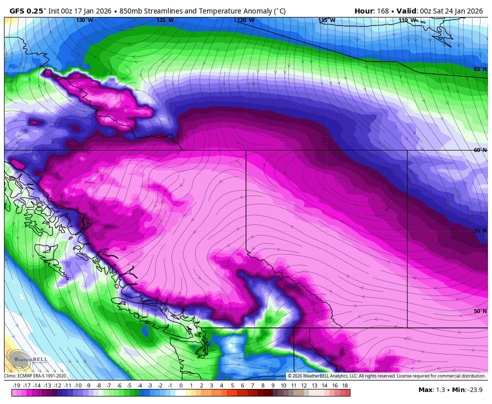 Vlad Raducu🇨🇦 tweet media