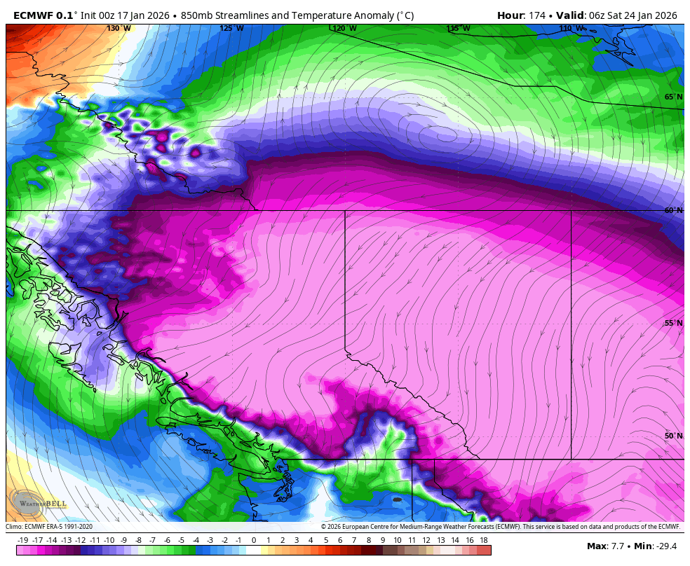 Vlad Raducu🇨🇦 tweet media