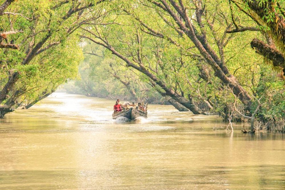 Edgard Rodriguez tweet media