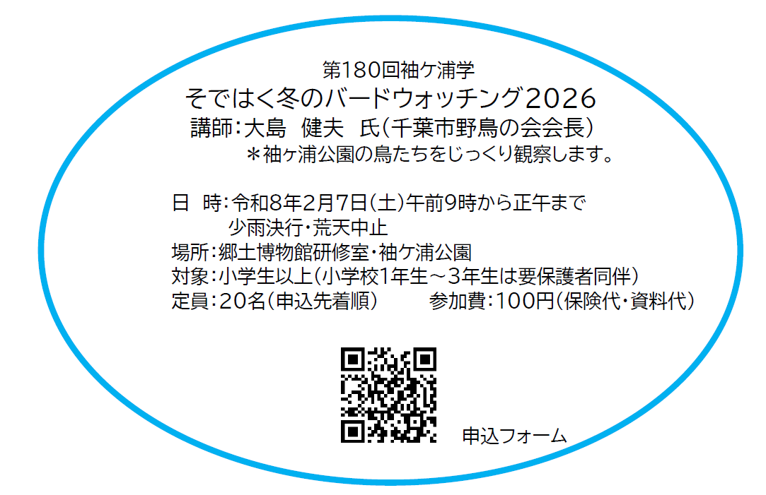 sode_haku's tweet photo. 【袖ケ浦学開催のお知らせ】 
第179回　近世におけるイボキサゴの利用について
1月24日(土) 13：30～15：00
第180回　そではく冬のバードウォッチング2026
2月7日(土) 9：00～12：00
詳細は添付の画像をご覧ください。 申込ホームよりご応募できます。 ご参加お待ちしております！
#そではく #袖ケ浦学 https://t.co/4H6xlwggNP