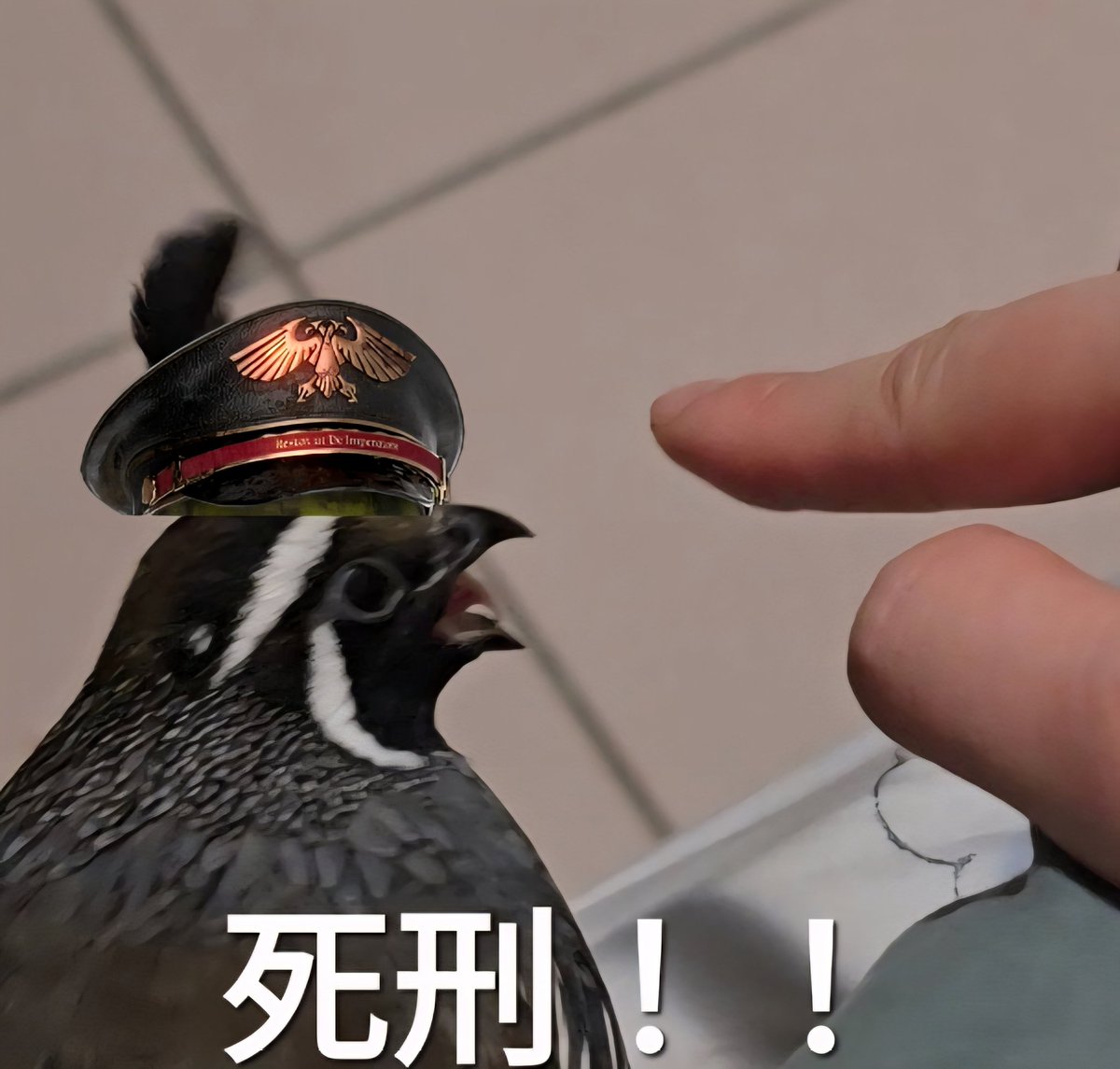 餵食癖只會帶風向說要餓死動物，事實上只會扭曲事實
因為真的要他們負責的時候，他們就會像現在這樣找一堆廢話跟藉口逃避責任！