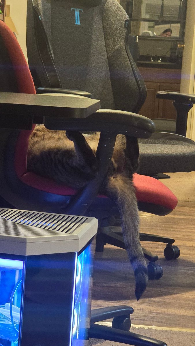 DelphTamrinath's tweet photo. Crowley butt. https://t.co/Wi7yl5Vaff