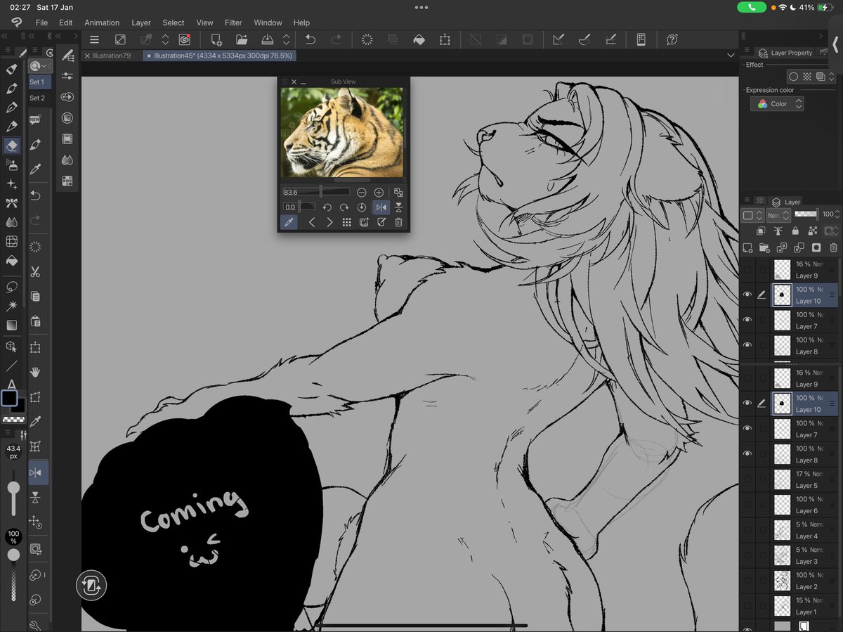 Tiger lady coming back again,,, ft. another lovely lady