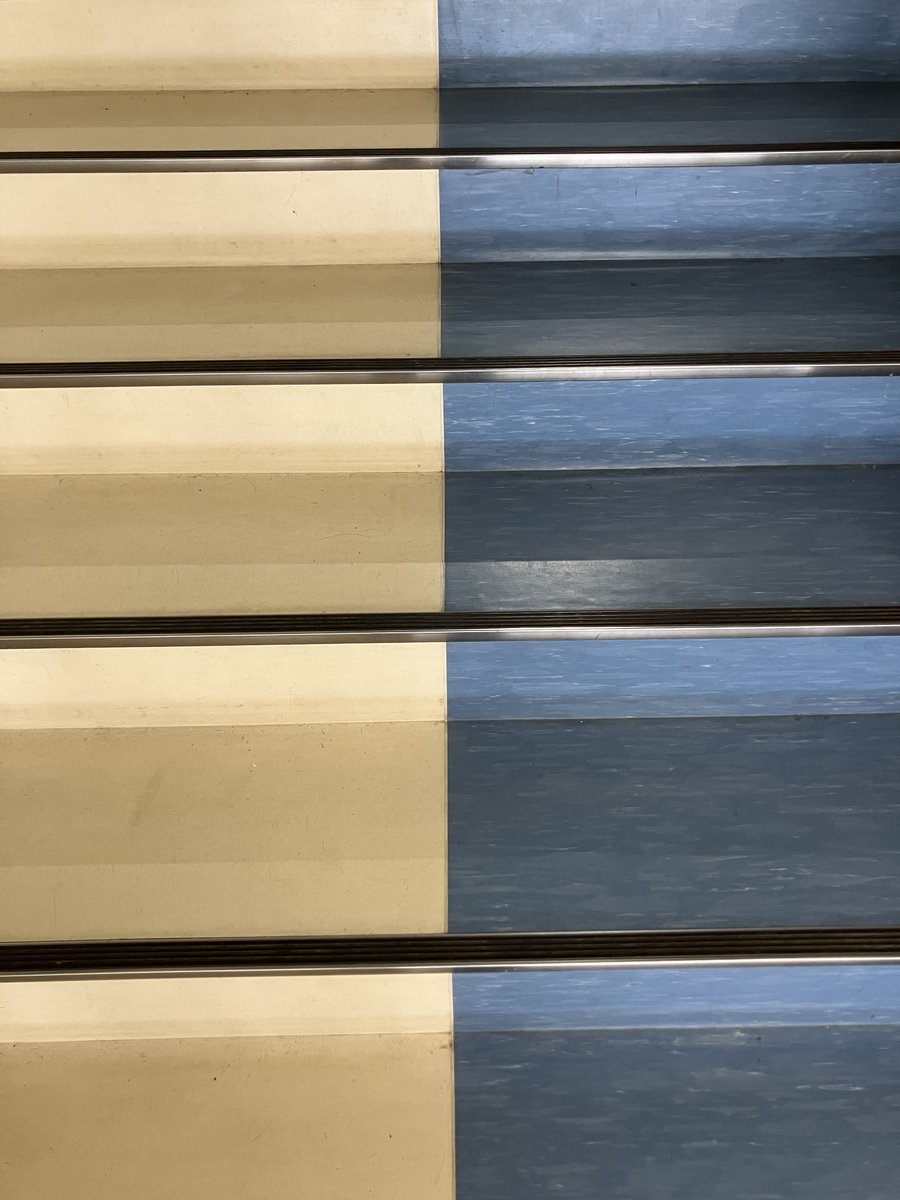 小学校最後の授業参観でした。あっという間。卒業まであと少し。卒業式は泣くだろうな。教室後方から見る、前方ホワイトボートの字が霞んで見えませんでした。これが老眼か。