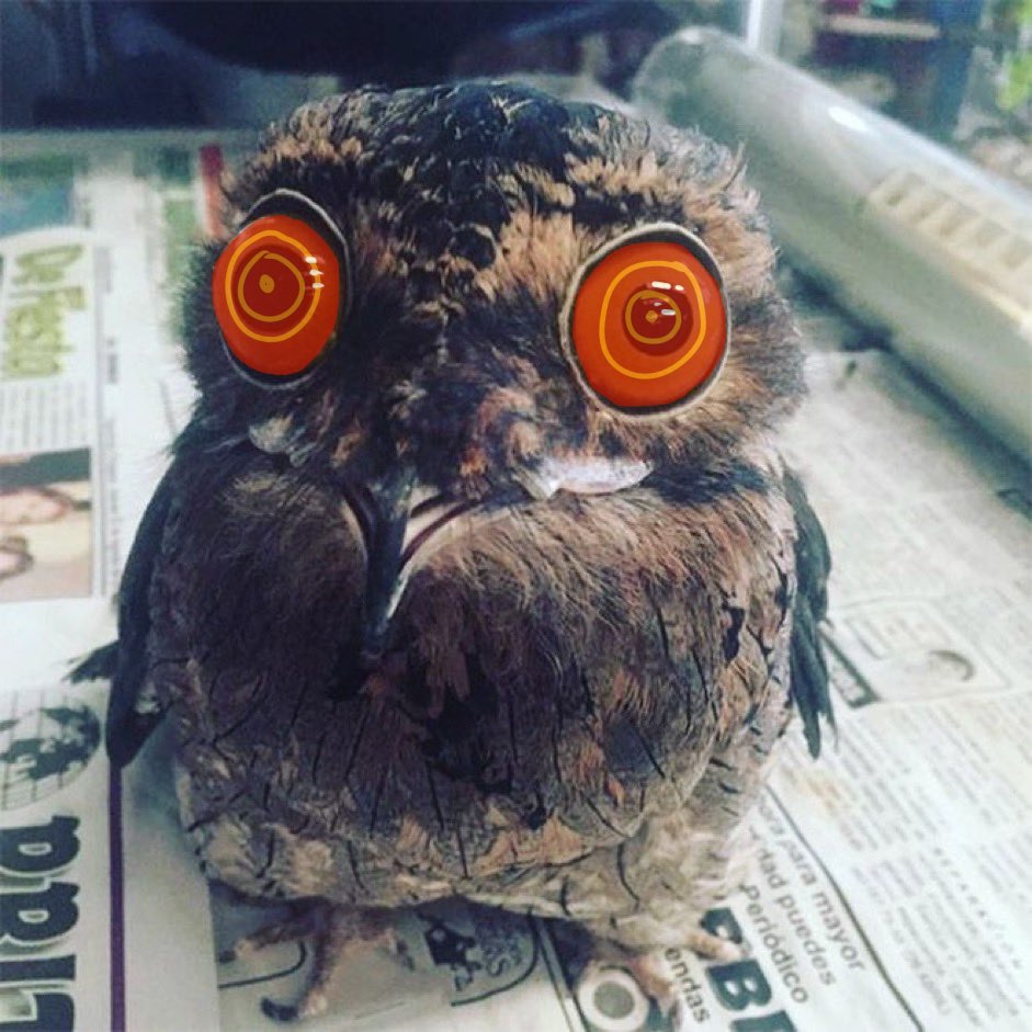 AlexMega37's tweet image. A bueno... que hijos de la wea mala po