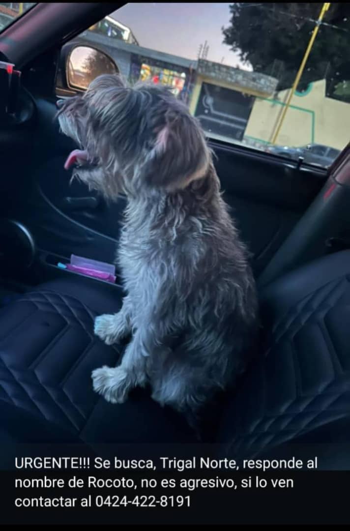 AYUDA 🙏🙏🙏🙏
#TrigalNorte #Valencia
#Carabobo