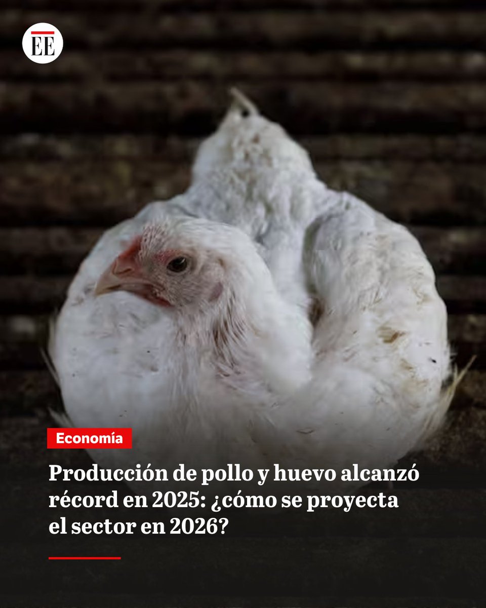 Los colombianos están consumiendo más productos avícolas y la producción creció un 9,1 %.
👉🏻 trib.al/ZneFdEg