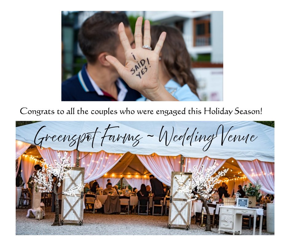 Greenspotfarms's tweet photo. A Wedding On A Quiet Landmark Farm, Country Style, Done Just Your Way... 🥰
So much flexibility creating your personal vision for that very special day ~ we're honored to be a part of it! 
https://t.co/Ih4WPGnRFl

#GreenspotFarms #OutdoorWedding #WeddingVenue #CountryWedding https://t.co/WJisx0cVQP