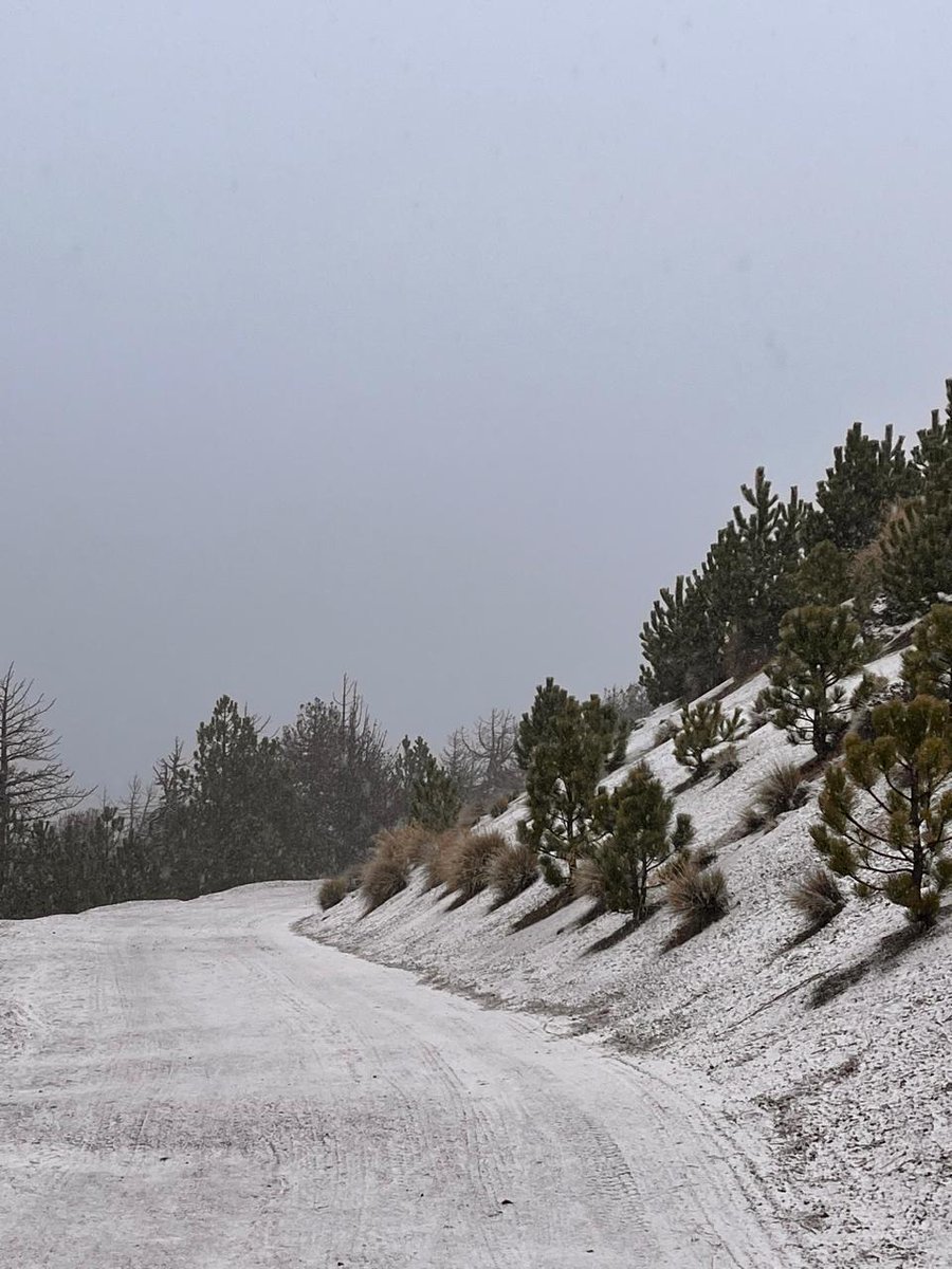 Tendencia Noticias tweet media